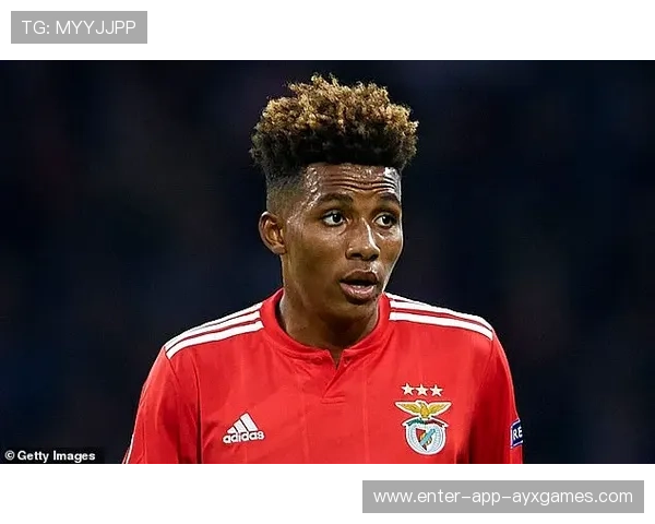 本菲卡—奥塔维奥中场连续推进制造致命机会